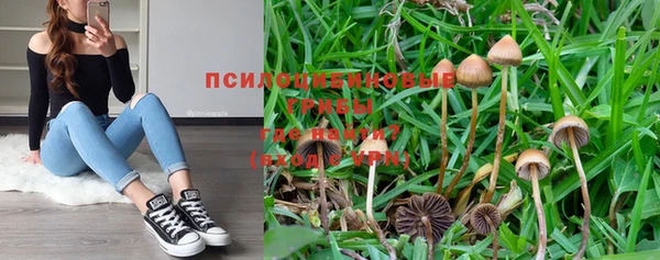 прущая мука Армянск