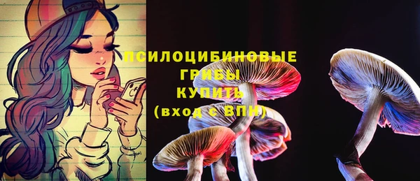 прущая мука Армянск